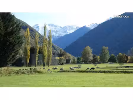 vous etes proprietaire ? cherche location a l'annee sur luchon