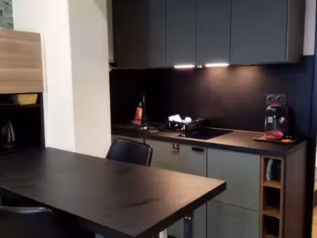 appartement meublé 2 pièces 27 m²