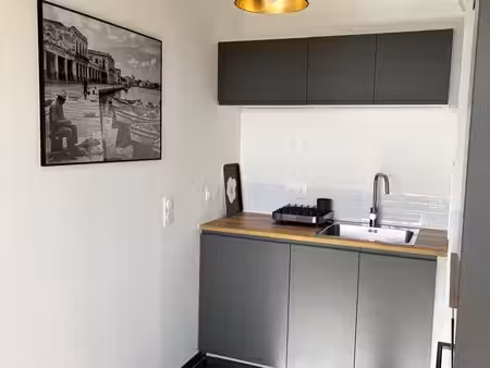 appartement 1 pièce  34 m² quartier central