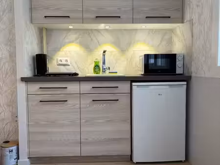 studio meublé rénové 18 m² – bourbonne-les-bains
