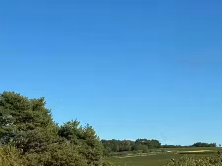 exclusivité - terrain constructible cravant-les-coteaux