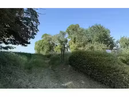 vente terrain 1370 m² à estourmel (59400)  52 608 €