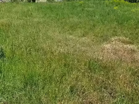 vente terrain 200 m² à corbère-les-cabanes (66130)  55 000 €