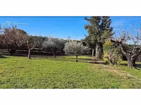 vente terrain à batir 658 m² à pernes-les-fontaines (84210)  150 000 €