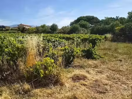 vente terrain à batir 927 m² à mazan (84380)  169 000 €