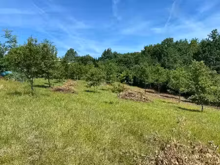 vente terrain 1409 m² à léojac (82230)  82 000 €