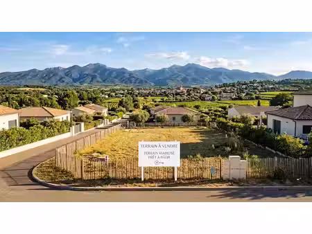 vente terrain 242 m² à pézilla-la-rivière (66370)  99 900 €