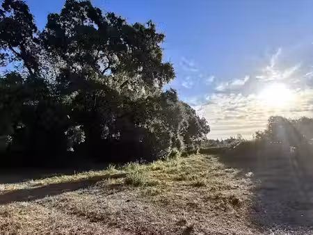 vente terrain 1000 m² à serra-di-fiumorbo (20243)  105 000 €