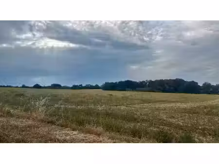 vente terrain 600 m² à auzielle (31650)  139 000 €