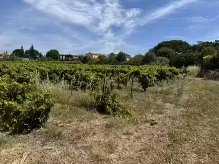vente terrain 729 m² à mazan (84380)  154 000 €
