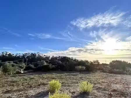 vente terrain 1570 m² à serra-di-fiumorbo (20243)  164 000 €