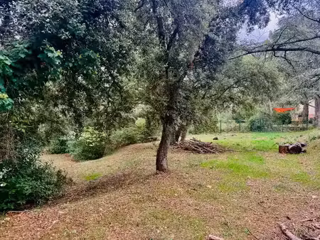 vente terrain 1025 m² à aubagne (13400)  240 000 €