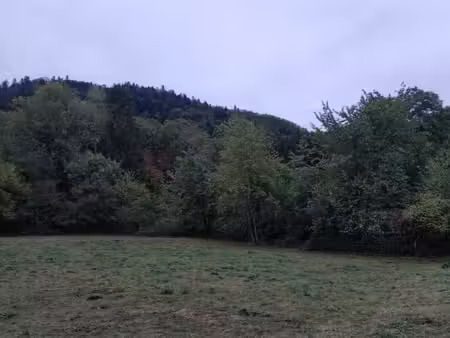 70270-ternuay-melay et saint hilaire parcelle de terrain constructible d'une contenance de
