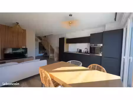 duplex t2 meublé de 60 m² avec jardin