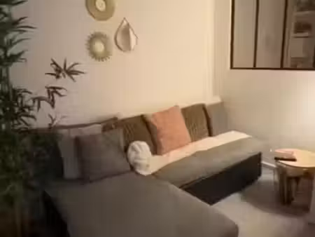 location meublée appartement 1 pièce 23.58 m² à la mulatière (69350)  700 €