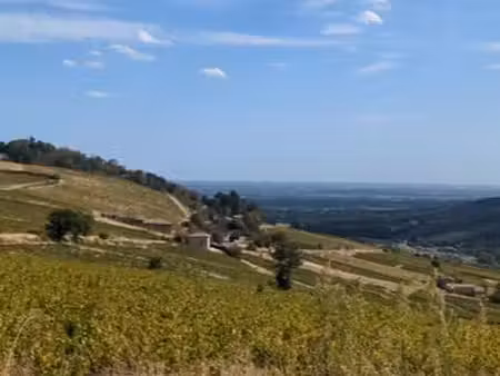 rare terrain de loisirs 2 600 m² – vue exceptionnelle mont blanc – pruzilly (71)