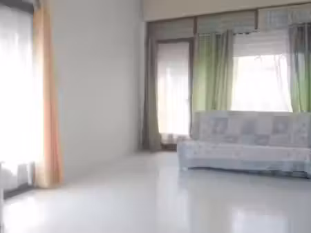 location appartement 3 pièces 49 m² à grenoble (38000)  650 €