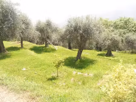 terrain 1107 m² contes