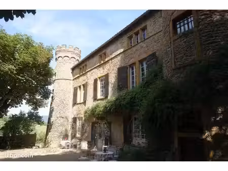 château a vendre proximite lyon  beaujolais