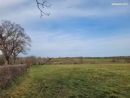 parcelles de vigne