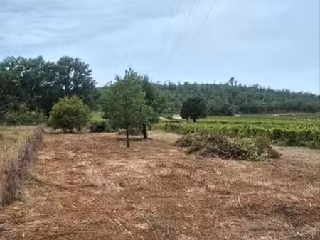 terrain agricole
