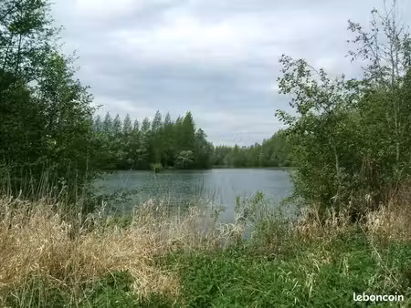 a vendre étang de pêche et de chasse