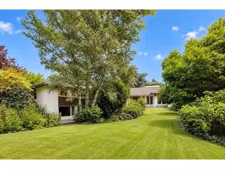 maison de luxe à vendre dans le quartier mairie