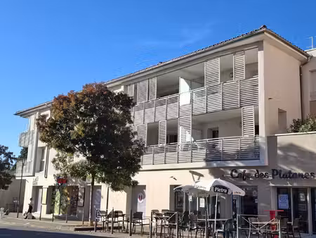 appartement t4 lumineux avec terrasse et garage centre de
