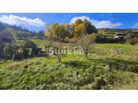 terrain à vendre – ribeauvillé  quartier de la grande verrerie