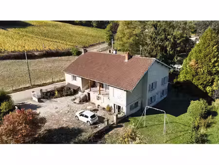 maison en pierre crépis - 160 m² habitable- 1600 m² de terrain - 3 chambres - studio - dou