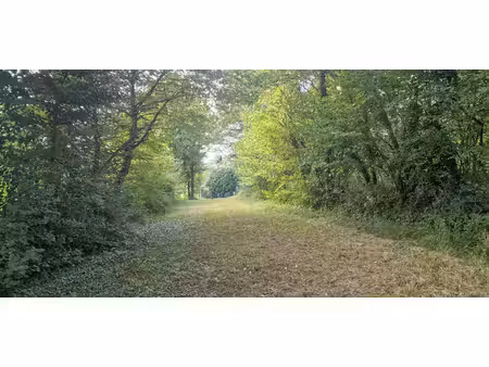 gezier et fontenelay - terrain d'exception de 4701 m²