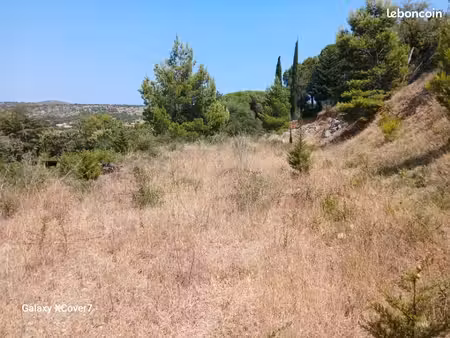 terrain 1 800 m² la palme