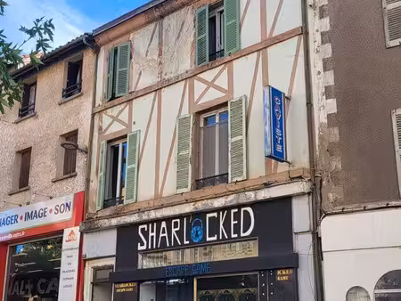 immeuble avec 2 appartements  local professionnel  studio  jardin et garage