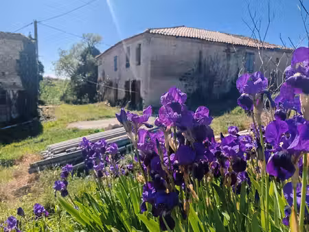 ferme à vendre
