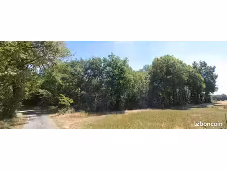 parcelle de bois