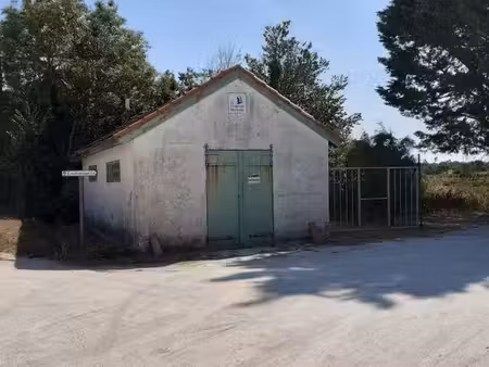 maison cabane