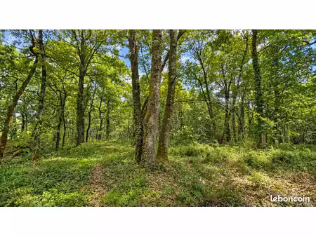 terrain 10280 m² péreuil
