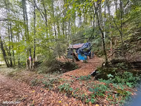 terrain 1050m2 nc vic sur cere 15800 avec un cabanon