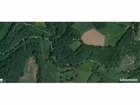 terrain agricole à vendre – 4 800 m² à seulement 15 min d’aurillac