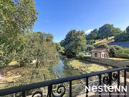 rare - t3 - parking - charme dans un moulin - vue sur l'indre