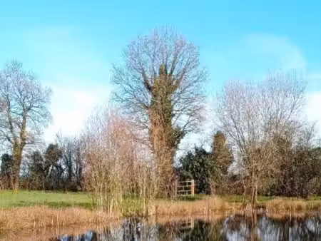 terrain de loisirs - secteur mortagne sur sèvre