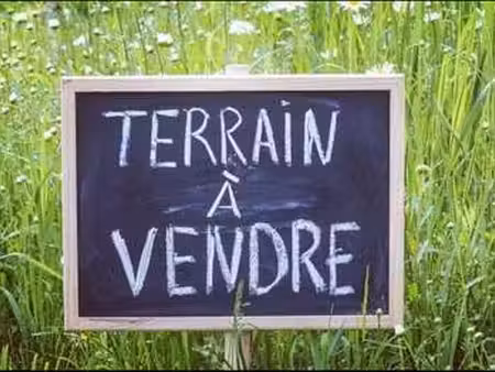 vente terrain à saint-lyphard (44410) : à vendre / 445m² saint-lyphard