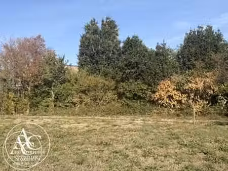 vente terrain au tour-du-parc (56370) : à vendre / le tour-du-parc