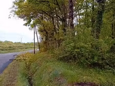 terrain/prairie à vendre
