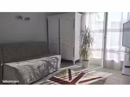 confortable f.1. meublé et rénové  avec balcon  cave  parking aisé 