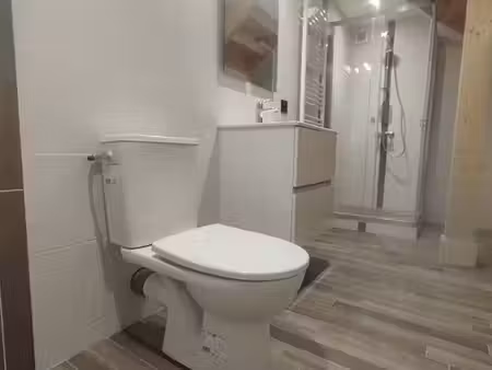 appartement à louer thurins