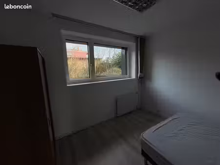 grand t2 rénové