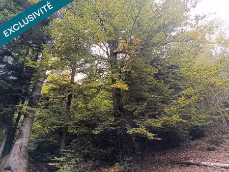 route forestière de chilimont.