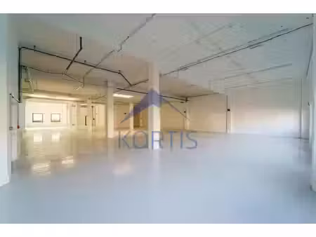 location local d’activités limonest 69760 1766m²