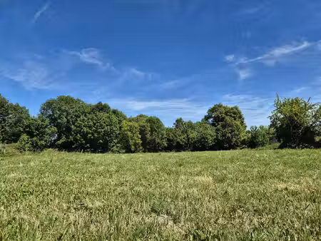 achat terrain 2 761m² moyrazes 12160